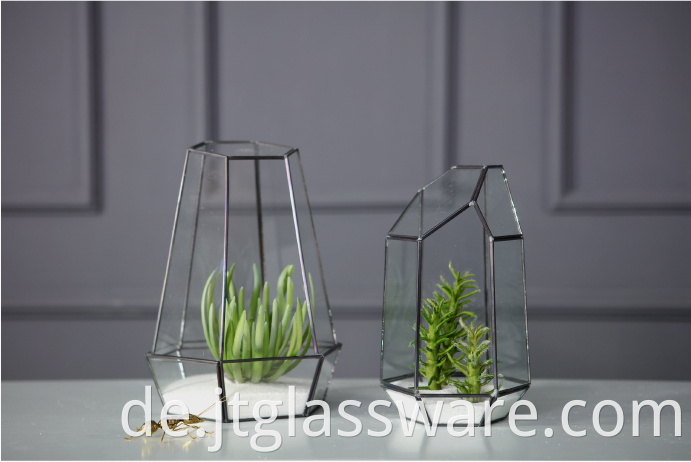 Indoor Plant Black Glass Terrarium Geometric